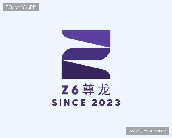 认识Z6尊龙